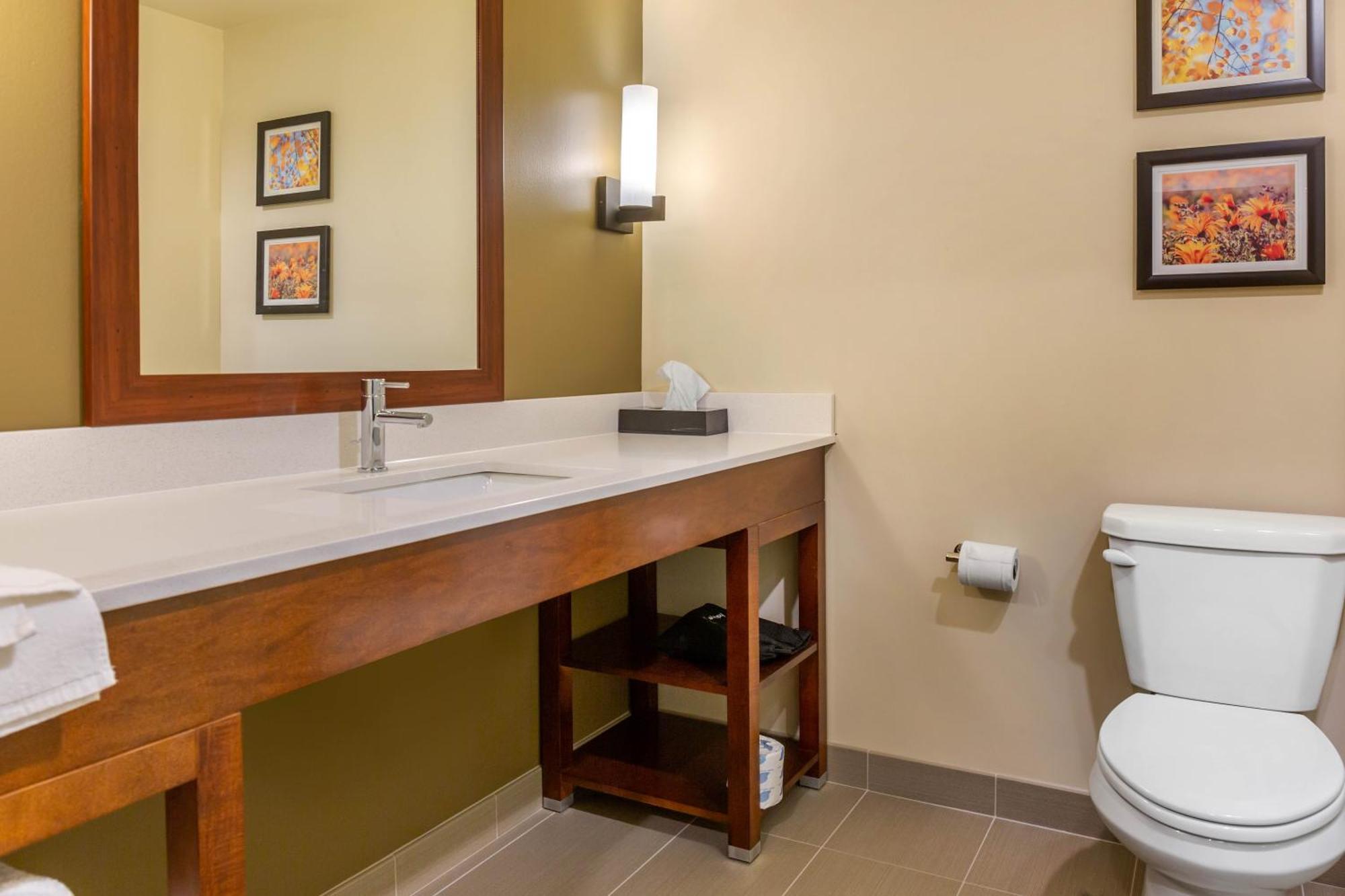 Comfort Inn&Suites Gap Eksteriør bilde